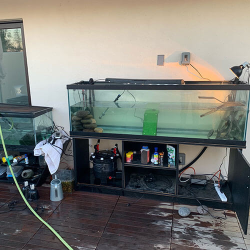 aquariummaintenance a1koipond